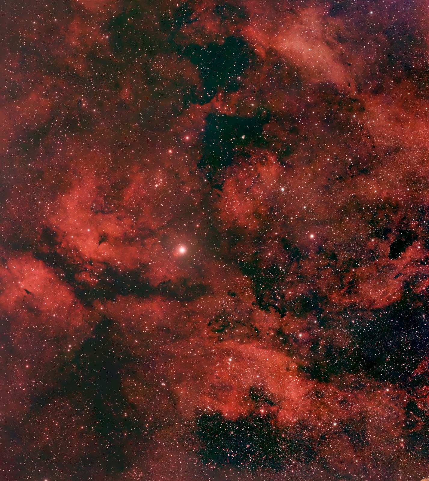 gam Cyg (IC1318)