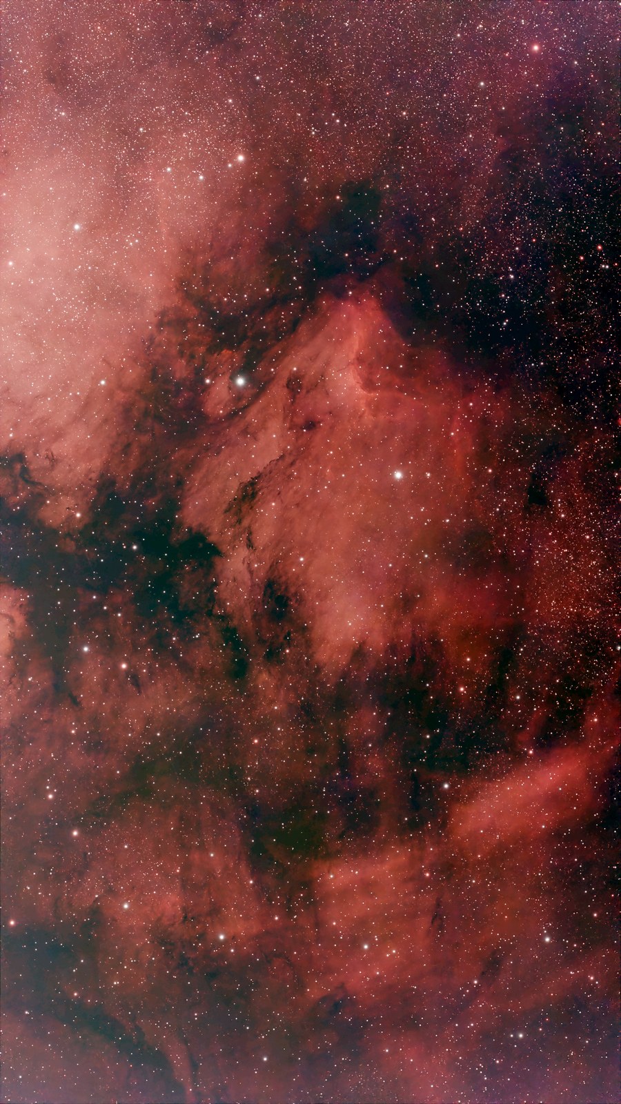 Pelican Nebula (IC5070)