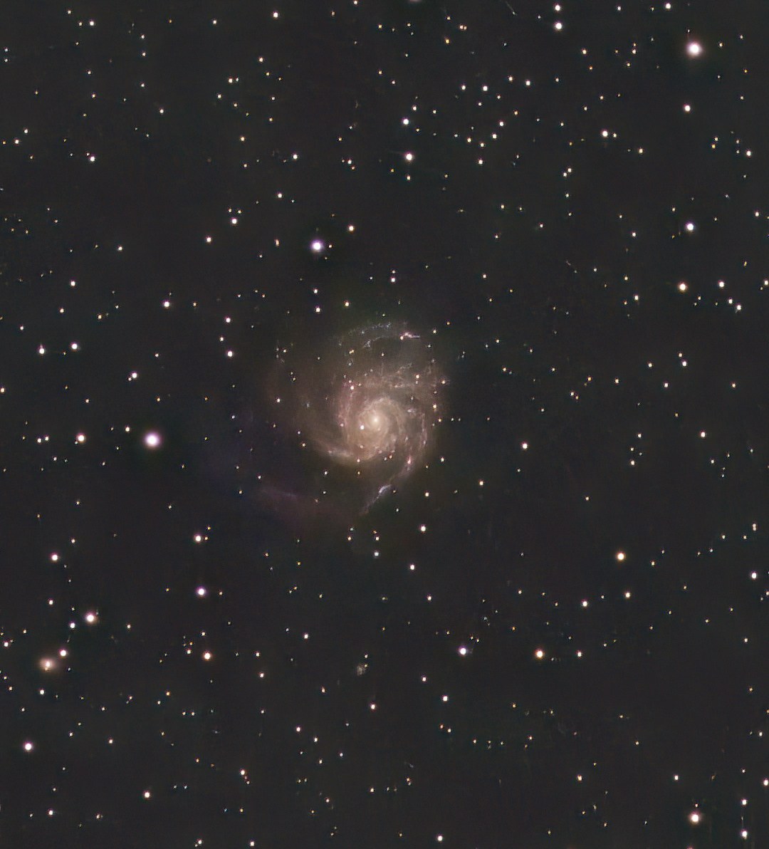 M101