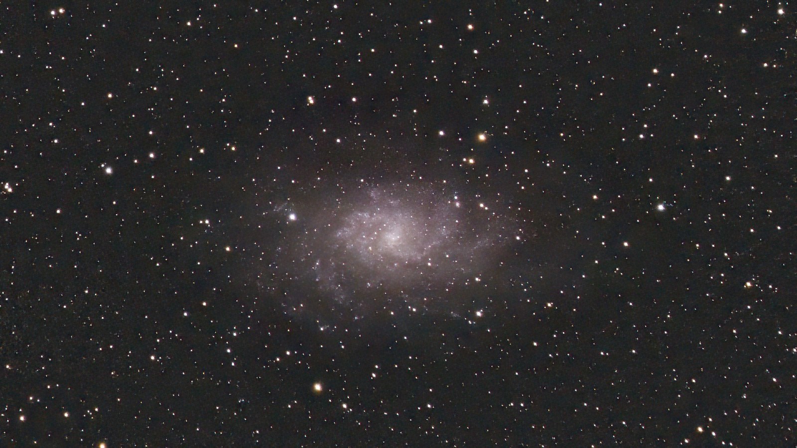 Triangulum Galaxy (M33)