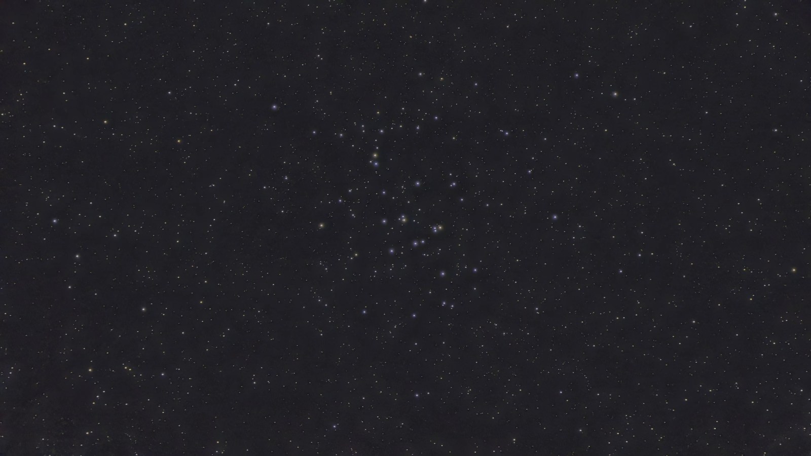 Beehive (M44)