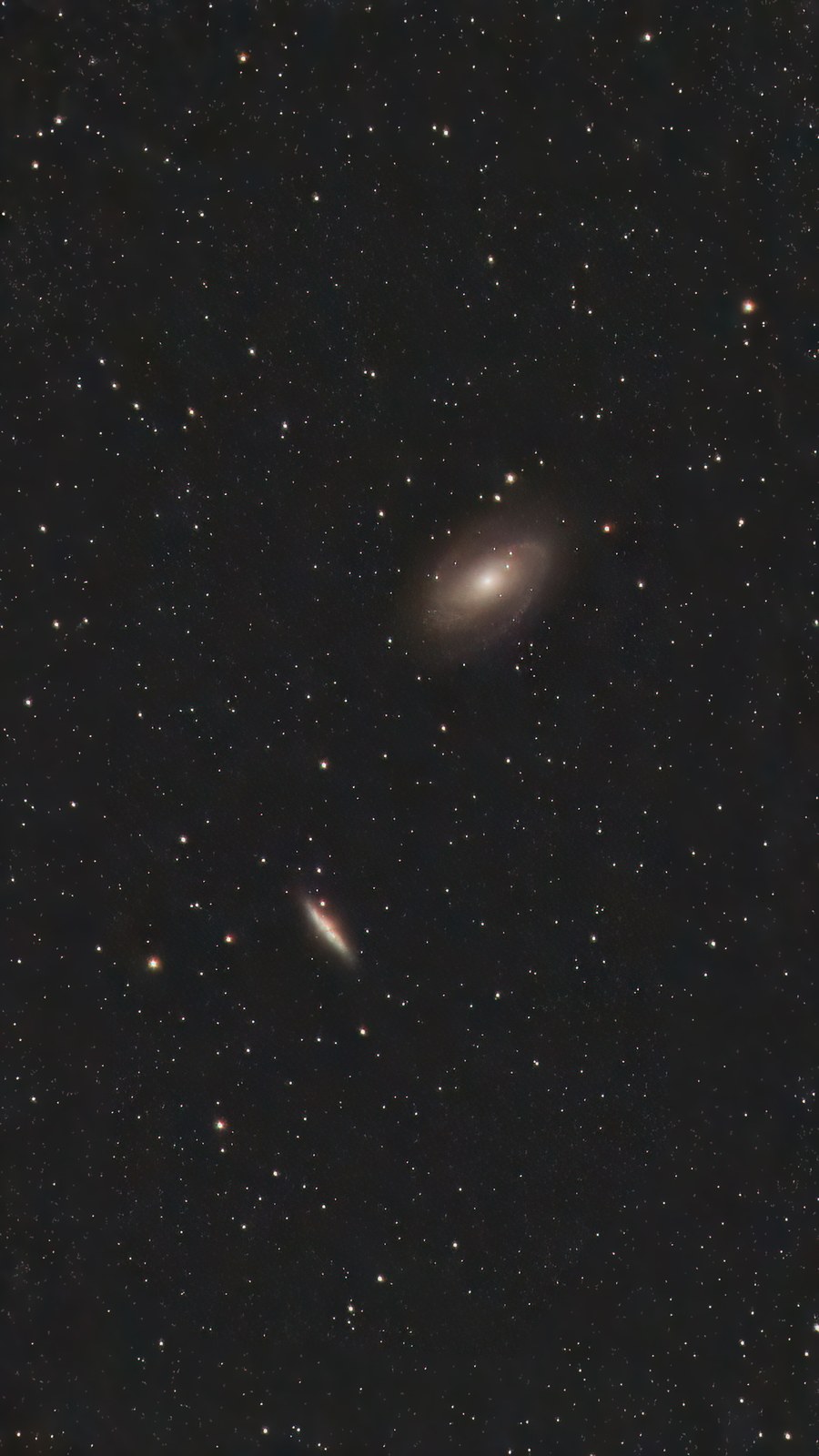 Bode's Galaxy (M81)
