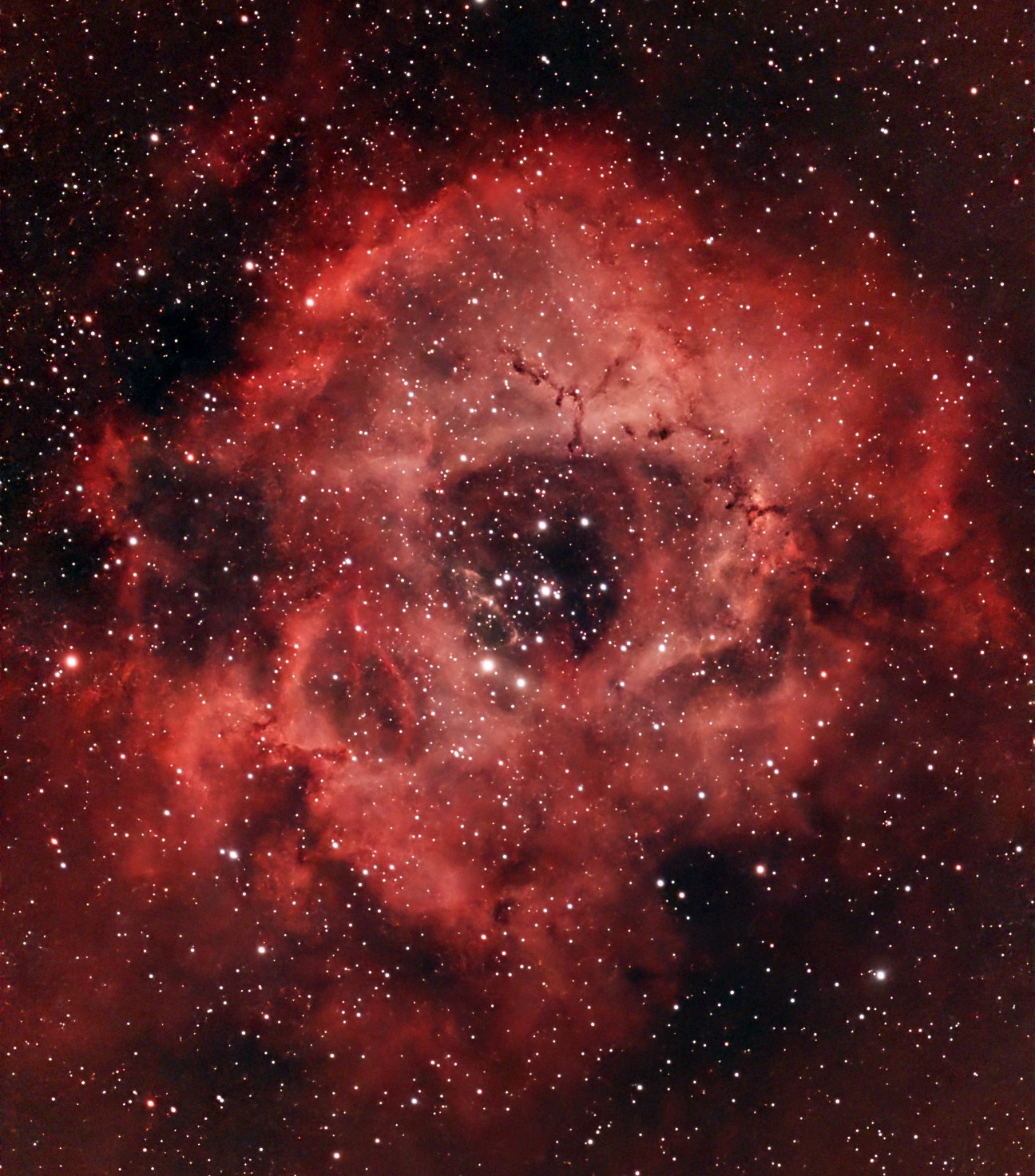 Rosette A (NGC2237)